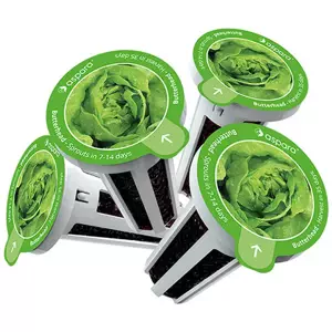Sazenice Seed kit pack aspara by GrowGreen - lettuce (4897073820668)