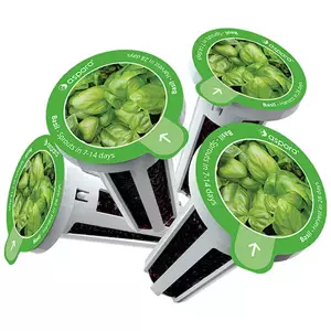 Sazenice Seed kit pack aspara by GrowGreen - basil (4897073820682)