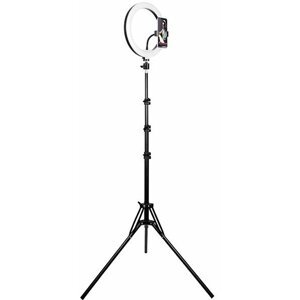 Tracer LED Ring Lamp, 210cm tripod - TRAOSW46745