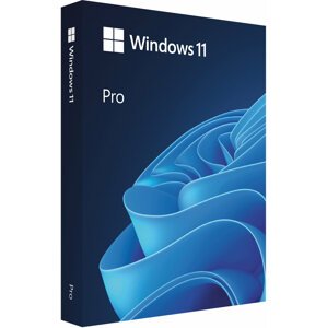 Microsoft Windows 11 Pro CZ 64-bit USB Flash Drive - HAV-00178