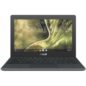 ASUS Chromebook C204, šedá - C204MA-GJ0512